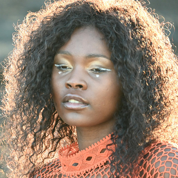 Eye Shadow (5 Shades) - Image 2